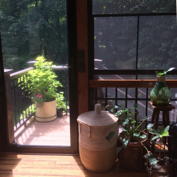 sunroom_baskets - Black Southern Belle