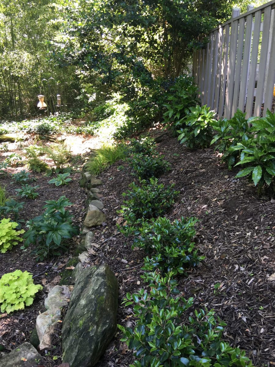 yard designers near me on African American Landscape Architect Gives 3 Tips To Working With An Expert To Upgrade Your Yard Black Southern Belle
