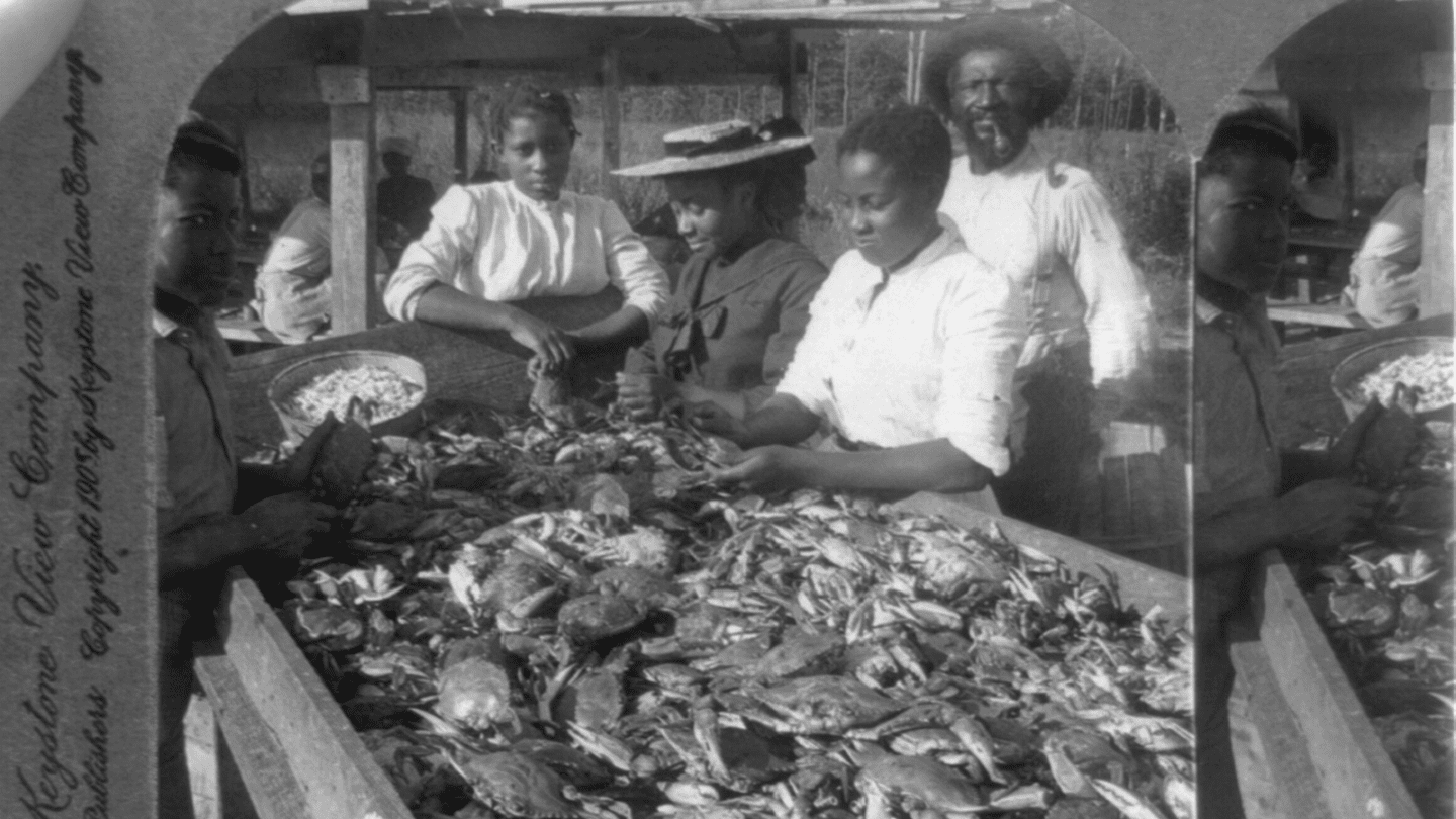 Black Women in Seafood: The History & Heritage